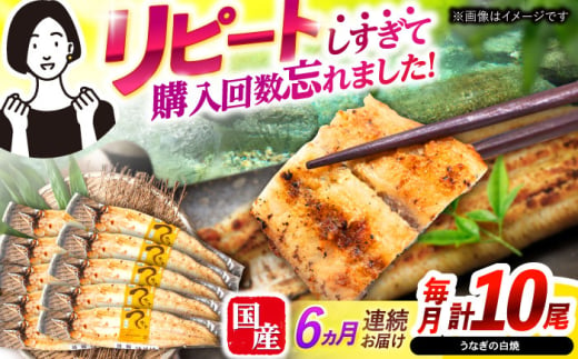 【6回定期便】【諫早淡水】うなぎ白焼き10尾  / うなぎ 白焼き 栄養価 小分け 冷凍 / 諫早市 / 諫早淡水 [AHAT043] 1714284 - 長崎県諫早市