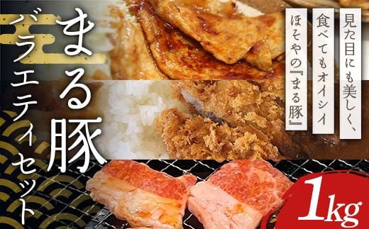 まる豚 バラエティセット1kg（もも一口かつ用300g・切り落し200g・バラ焼肉300g・ひき肉200g） F4H-0483