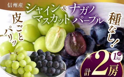 先行予約】信州産 ナガノパープル、シャインマスカットのセット 約1kg (2房)｜ふるさと納税 松本市 ぶどう 葡萄 シャインマスカット ナガノパープル  果物 フルーツ 種無し 新鮮 セット 食べ比べ 信州産 先行予約 1479974 - 長野県松本市 | au PAY ふるさと納税