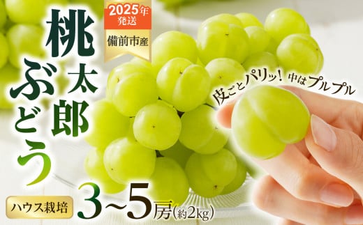 【2025年発送】びぜん葡萄「桃太郎ぶどう」（ハウス栽培）約2kg入 【 岡山県備前市産 桃太郎ぶどう ハウス栽培 約2kg （3～5房目安）樹上完熟  】 1258274 - 岡山県備前市