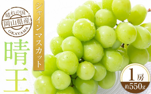 [HS]ぶどう 2025年 先行予約 9月・10月発送 シャイン マスカット 晴王 1房 約550g【ブドウ 葡萄  岡山県産 国産 フルーツ 果物 ギフト】