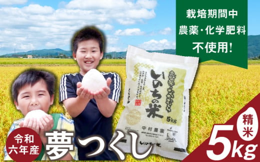 令和6年産夢つくし（精米）5kg中村農園いのちの米_令和6年産 夢つくし 5kg 精米 いのちの米 つややか 光沢 もちもち 食感 粘り 甘み 国産 米 白米 新米 ブランド米 ご飯 白飯 おにぎり おむすび 弁当 主食 食品 食べ物 グルメ お取り寄せ お取り寄せグルメ 福岡県 久留米市 送料無料_Gr059