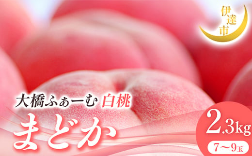 2025年出荷分 先行予約 福島県産 まどか 2.3kg 2025年7月下旬～2025年8月上旬発送 先行予約 予約 伊達の桃 伊達市 桃 贈り物 贈答 ギフト もも モモ 果物 くだもの フルーツ 国産 食品 F21C-014 1733727 - 福島県伊達市