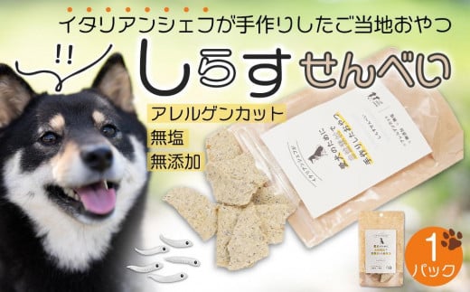 しらす せんべい ( 愛 犬  ワン 友 無添加 無塩 おやつ ) 1P ペット お試し用 REICAFE 【Rc14】 1711569 - 和歌山県九度山町