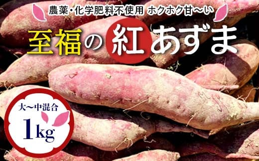 栽培期間中、農薬・化学肥料不使用 ホクホク甘～い『至福の紅あずま』1kg（3～5本） さつまいも サツマイモ 山形県 新庄市 F3S-2322