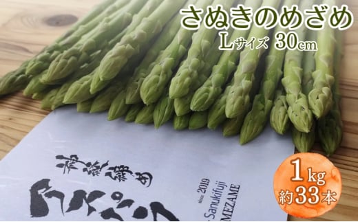 アスパラガス シャキシャキ！ピンピン！『神経締めアスパラ』 さぬきのめざめ 30cm Lサイズ 1kg（約33本）/ アスパラ 野菜 新鮮 1723254 - 香川県丸亀市