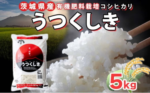 茨城県産 うくつしき 精米 5kg 有機肥料 こしひかり コシヒカリ 茨城県 米 ごはん ご飯 おにぎり ブランド米 人気 国産 常備 産地直送 お取り寄せ 送料無料 結城市 [№5802-1070] 1723351 - 茨城県結城市