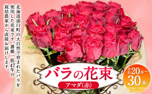 バラの花束 アマダ（赤）（20‐30本）| 花 バラ 薔薇 ローズ 生花 花束 ブーケ 赤 贈り物 プレゼント ギフト【2025年5月下旬～11月下旬まで発送予定】 1720532 - 北海道浦臼町