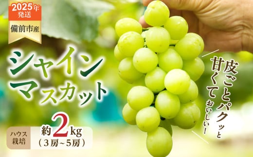 【2025年発送】びぜん葡萄「シャインマスカット」（ハウス栽培）約2kg入 【 岡山県備前市産 シャインマスカット ハウス栽培 約2kg （3～5房目安）樹上完熟 】 1258275 - 岡山県備前市