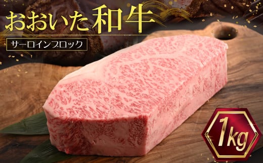 おおいた和牛サーロインブロック【1kg】 G24