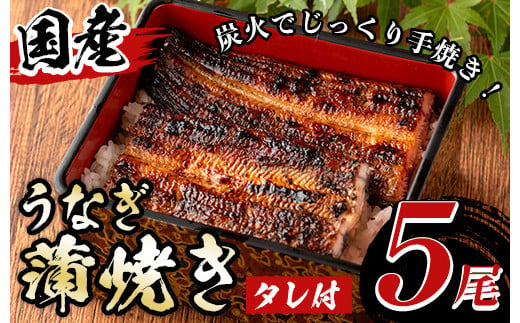 y488 国産！うなぎ蒲焼き(5尾・タレ付き) 国産 九州産 鰻 ウナギ うな重 うなじゅう 蒲焼 かばやき 土用 丑の日 うな丼 タレ タレ付 おかず 冷蔵 特産品 お土産 ギフト プレゼント【尾方屋】 1713209 - 鹿児島県湧水町