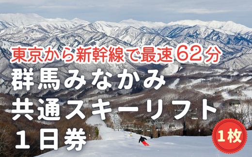 みなかみ町内スキー場 ふるさと納税共通1日リフト券（引換券）１枚