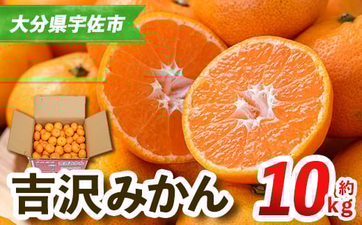 ＜先行予約受付中！2025年11月中旬から順次発送予定＞吉沢みかん(約10kg)みかん ミカン 蜜柑 柑橘 フルーツ 果物 くだもの 果実【108600101】【フルーツランド桐畑】 253538 - 大分県宇佐市