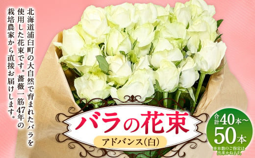 バラの花束 アドバンス（白）（40‐50本）| 花 バラ 薔薇 ローズ 生花 花束 ブーケ 白 贈り物 プレゼント ギフト【2025年5月下旬～11月下旬まで発送予定】 1720535 - 北海道浦臼町