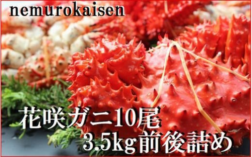 C-57052 【12月22日決済分まで年内配送】【北海道根室産】花咲ガニ10尾(計3.5kg前後) 1713162 - 北海道根室市