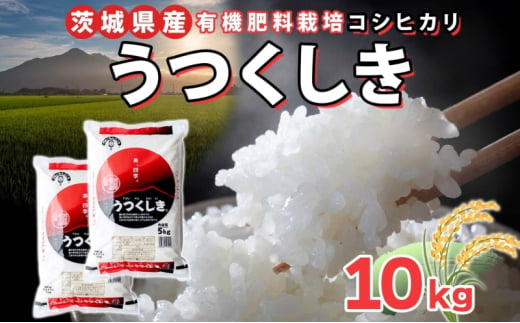 茨城県産 うくつしき 精米 10kg 有機肥料 こしひかり コシヒカリ 茨城県 米 ごはん ご飯 おにぎり ブランド米 人気 国産 常備 産地直送 お取り寄せ 送料無料 結城市 [№5802-1071] 1723352 - 茨城県結城市