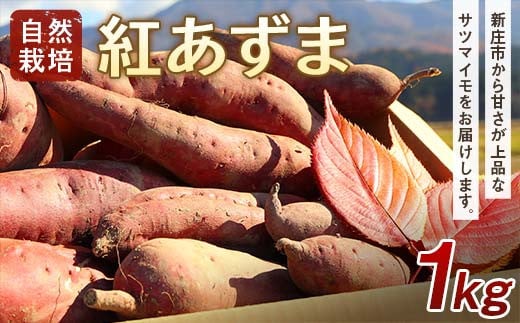 【先行予約】 自然栽培 紅あずま 1kg（3～5本） さつまいも サツマイモ 山形県 新庄市 F3S-2320