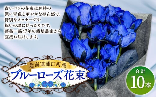 ブルーローズ（花束） 10本 | 花 バラ 薔薇 ローズ 生花 花束 ブーケ 青 贈り物 プレゼント ギフト【2025年5月下旬～11月下旬まで発送予定】 1720545 - 北海道浦臼町