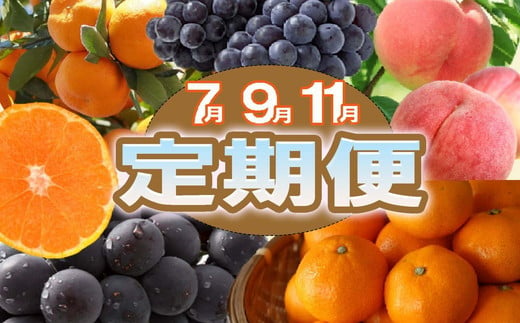 和歌山県美浜町のふるさと納税 お礼の品ランキング【ふるさとチョイス】