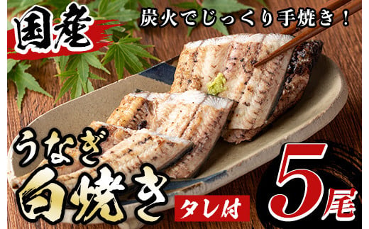 y489 国産！うなぎ白焼き(5尾・タレ付き) 国産 九州産 鰻 ウナギ 有頭 魚 魚介類 かばやき 蒲焼 蒲焼き しろやき 白焼 おかず 特産品 お土産 ギフト プレゼント 冷蔵【尾方屋】 1713211 - 鹿児島県湧水町