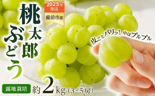 【2025年発送】びぜん葡萄「桃太郎ぶどう」（露地栽培）約2kg入  【 岡山県備前市産 桃太郎ぶどう 露地栽培 約2kg入 (3～5房目安) 樹上完熟 】 1258293 - 岡山県備前市