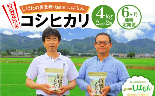 米 特別栽培米コシヒカリ 4kg 令和6年度 白米 新潟県産 こしひかり 2kg×2 少量 便利 一人暮らし おいしい 玄米 変更可 しばもん 越後  減化学肥料 減農薬 新潟産 新潟県 新発田市 D31 - 新潟県新発田市｜ふるさとチョイス - ふるさと納税サイト