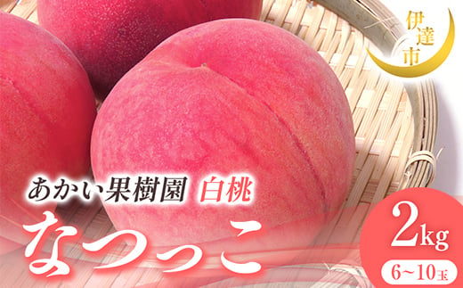 2025年出荷分 先行予約 福島県産 なつっこ 2kg 2025年8月上旬～2025年8月中旬発送 先行予約 予約 伊達の桃 伊達市 桃 贈り物 贈答 ギフト もも モモ 果物 くだもの フルーツ 国産 食品 F21C-004 1733762 - 福島県伊達市