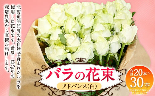 バラの花束 アドバンス（白）（20‐30本）| 花 バラ 薔薇 ローズ 生花 花束 ブーケ 白 贈り物 プレゼント ギフト【2025年5月下旬～11月下旬まで発送予定】 1720534 - 北海道浦臼町