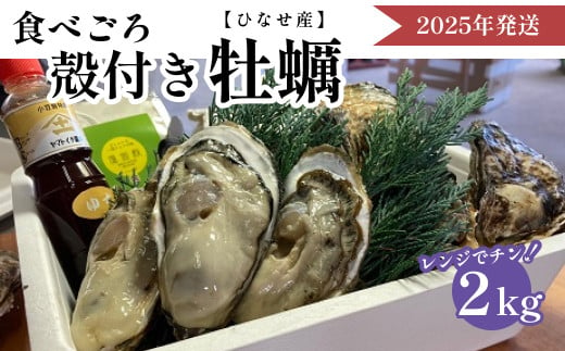 【2025年発送】ひなせ産　牡蠣　【レンジでチン】食べごろ殻付き牡蠣 1734971 - 岡山県備前市