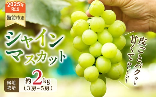 【2025年発送】岡山県備前市産　樹上完熟「シャインマスカット」（露地栽培）約2kg（3～5房目安） 【 岡山県備前市産 シャインマスカット 露地栽培 約2kg（3～5房目安）樹上完熟 】 1258273 - 岡山県備前市