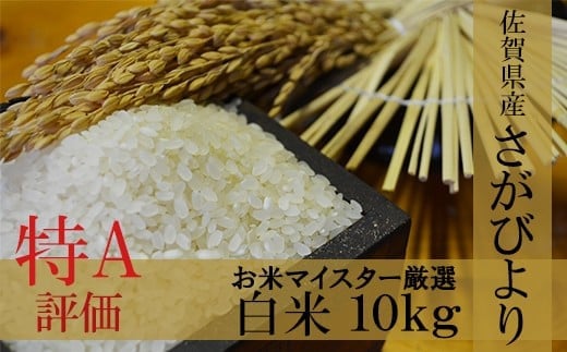 令和6年産 佐賀県産 さがびより 10kg 白米【14年連続 特A評価】B-20 252828 - 佐賀県鹿島市