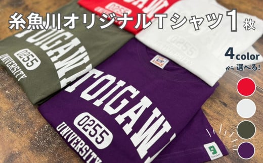 【選べるカラー･サイズ】糸魚川オリジナル『いといがわ大学』Ｔシャツ 1枚 半袖（XS･S･M･L･XLサイズ）コットン【ITOIGAWA大学 新潟県 糸魚川市 ヒスイ 衣類 おしゃれ シンプル いまいスポーツ ティーシャツ メンズ レディース キッズ アカ シロ アーミーグリーン パープル】