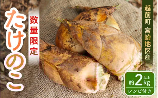 【先行予約】赤土 たけのこ 約2kg 越前町 宮崎地区産 採れたてを産地直送でお届け！ 【 筍 タケノコ  竹の子 生 】【令和7年4月上旬より順次発送予定】 [e27-a036] 292028 - 福井県越前町