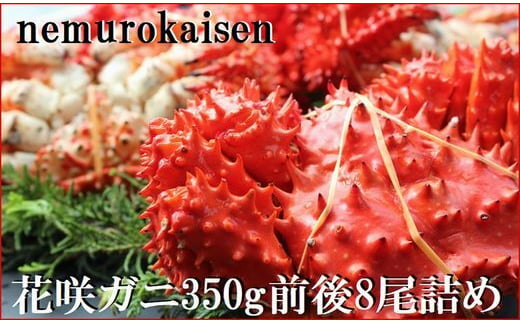 C-57048 【12月22日決済分まで年内配送】【北海道根室産】花咲ガニ350g×8尾 1713158 - 北海道根室市