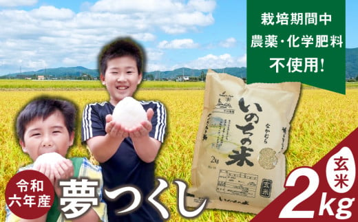 令和6年産夢つくし（玄米）2kg中村農園いのちの米_令和6年産 夢つくし 2kg 玄米 いのちの米 つややか 光沢 もちもち 食感 粘り 甘み ビタミン ミネラル 食物繊維 国産 米 新米 ブランド米 ご飯 おにぎり おむすび 弁当 主食 食品 食べ物 グルメ お取り寄せ お取り寄せグルメ 福岡県 久留米市 送料無料_Gr062 1713119 - 福岡県久留米市