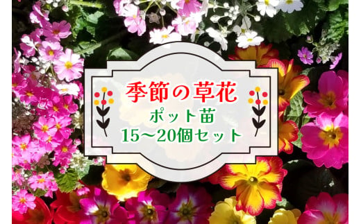 高成園 季節の切り花 ひまわり【2024年6月上旬以降配送】切花 生花 つぼみ ヒマワリ 向日葵 フラワー [0158] - 埼玉県杉戸町｜ふるさとチョイス  - ふるさと納税サイト