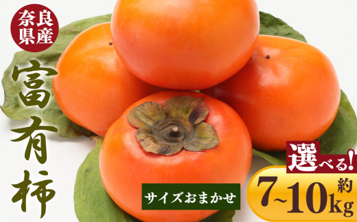 【 令和7年分 先行予約 】富有柿 サイズおまかせ！ | フルーツ くだもの 果物 柿 かき カキ 富有柿 奈良県 五條市