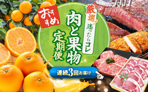 みかん サーロイン 定期便