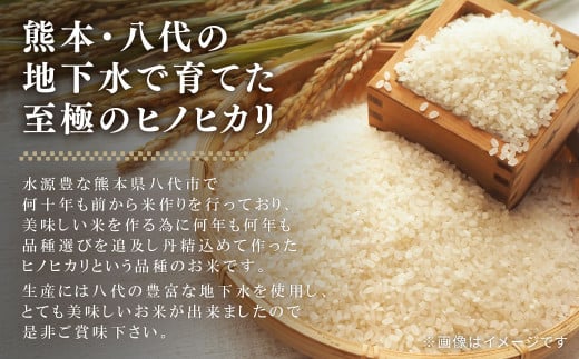 令和6年産】熊本県八代市産米 ヒノヒカリ 3kg - 熊本県八代市｜ふるさとチョイス - ふるさと納税サイト