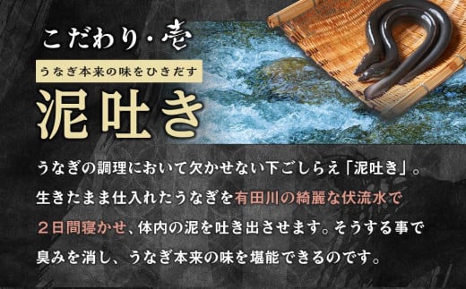 年内発送 受付中 】国産 うなぎ蒲焼 3本 セット 合計 約300g 数量限定 - 和歌山県有田川町｜ふるさとチョイス - ふるさと納税サイト