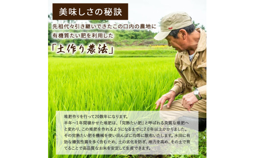 5月田植え