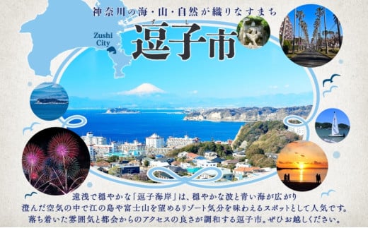 神奈川県逗子市のふるさと納税 フェザーファクトリー ご利用割引チケット30,000円分 ウインドサーフィン SUP スクール 体験チケット マリンスポーツ JWA公認指導員 レッスン 神奈川県 逗子市 [№5875-0537]