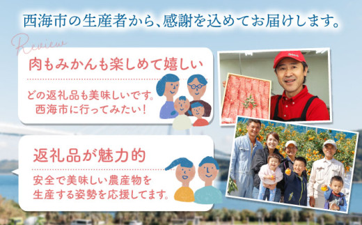 みかん サーロイン 定期便