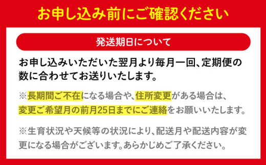 みかん サーロイン 定期便
