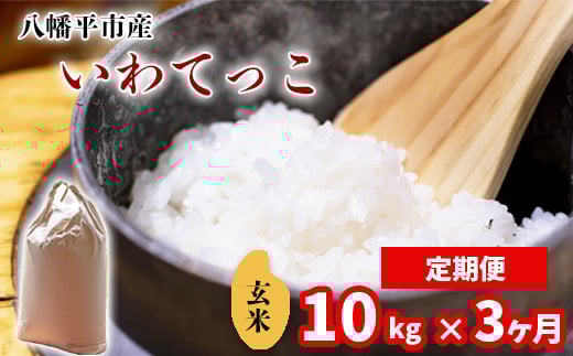 【令和7年産】 新米 11月中旬発送開始予定 いわてっこ 玄米 10kg （5kg×2袋） × 3ヶ月定期便 ／ 中沢農産 こめ 米 コメ お米 おこめ ご飯 ごはん げんまい おにぎり お弁当 仕送り お取り寄せ 産地直送 農家直送 単一原料米 国産 国産米 東北 岩手県産 八幡平市産 おすすめ 定期 定期便
