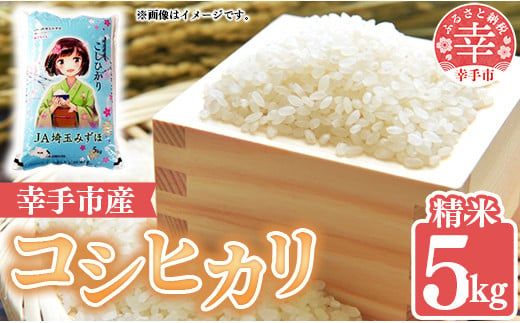 令和6年度産 コシヒカリ 5㎏ - こしひかり 5kg 令和６年産 精米 埼玉県 幸手市 幸手市産