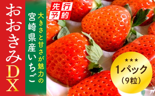 《2025年発送先行予約》【数量・期間限定】宮崎県産いちご「おおきみDX」1パック（9粒）_M260-004 581106 - 宮崎県宮崎市