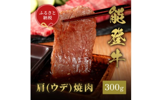 能登牛 牛肩(ウデ) 焼肉 300g【1556808】 1744747 - 石川県白山市