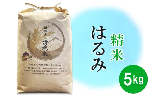 新米 令和6年産 伊勢原の米「はるみ」5kg 精米済｜新米 米 お米 伊勢原 はるみ 令和6年産 精米 いせはらVILLAGE [0284] 1763910 - 神奈川県伊勢原市