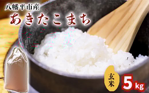 【令和7年産】 新米 11月中旬発送開始予定 あきたこまち 玄米 5kg ／ 中沢農産 こめ 米 コメ お米 おこめ ご飯 ごはん げんまい おにぎり お弁当 仕送り お取り寄せ 産地直送 農家直送 単一原料米 国産 国産米 東北 岩手県産 八幡平市産 おすすめ